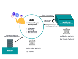 PKI + CLM: The Essential Duo For Managing Digital Certificates